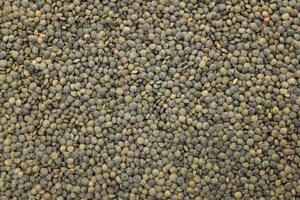 Green lentils, raw