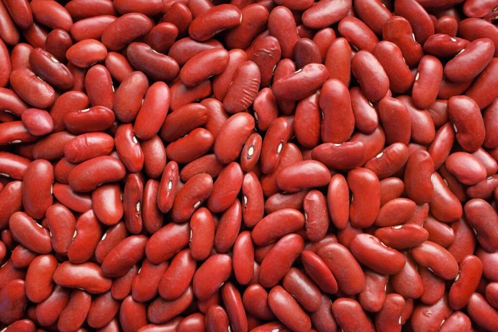 Red beans, raw