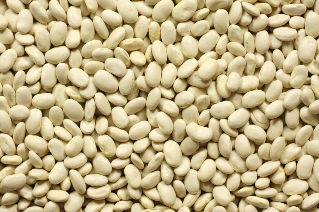 White beans, raw