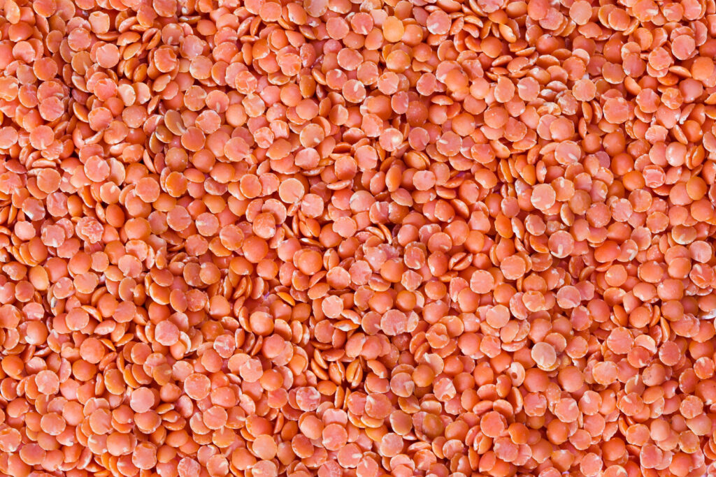Red lentils, raw