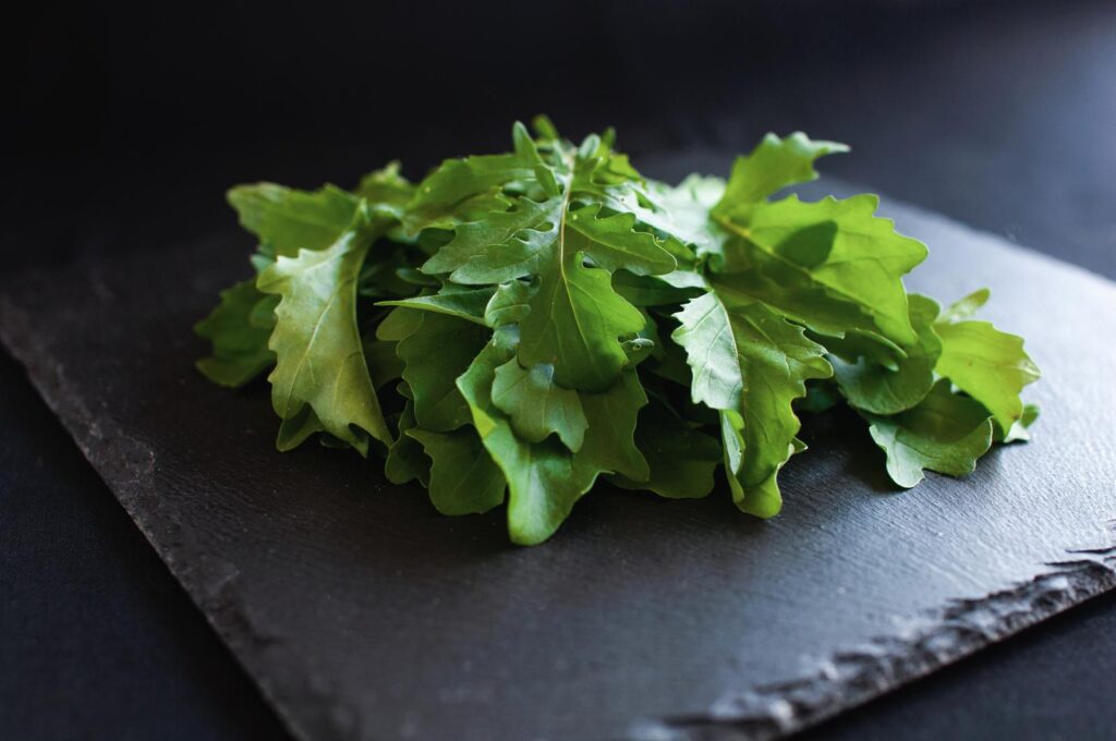 Arugula lettuce, raw