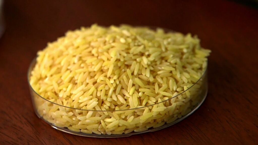 Golden Parboiled Rice, Raw
