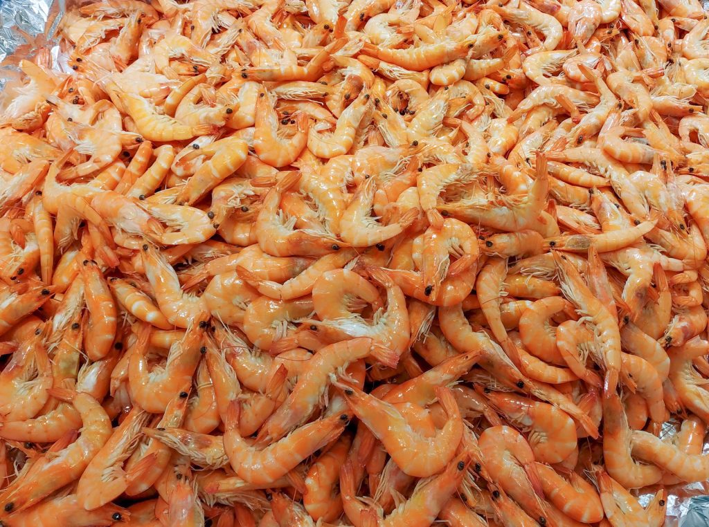 Fresh Frozen Shrimp