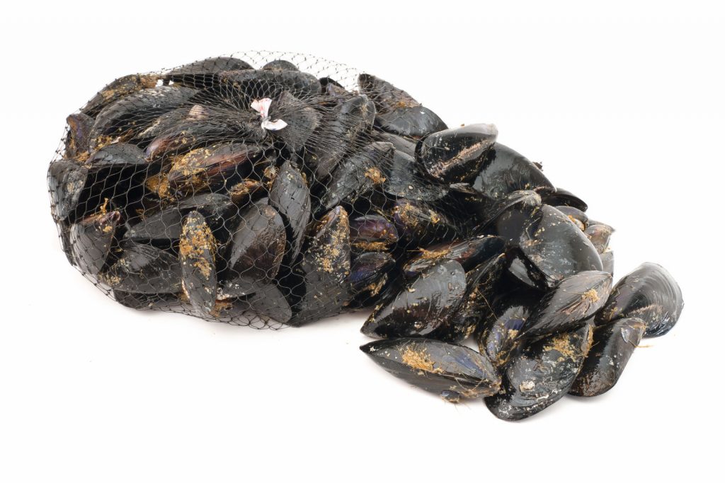 Mussels, Raw