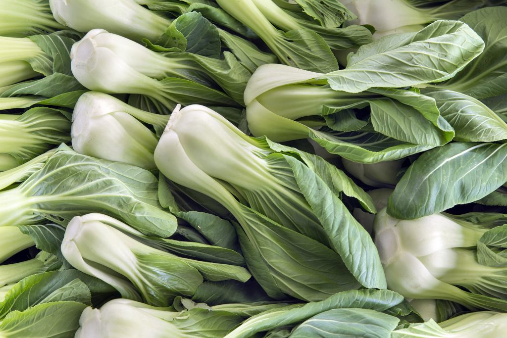 Chinese Cabbage, Pak-choi, Raw