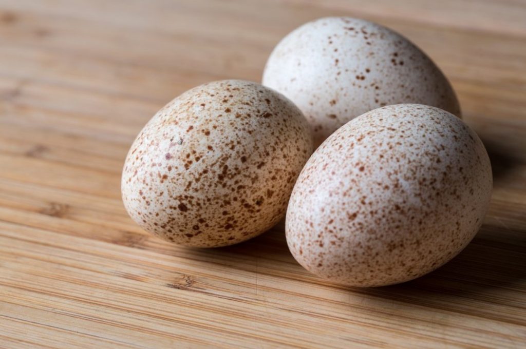 Turkey Egg, Raw