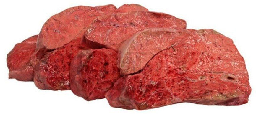 Beef Lungs, Raw