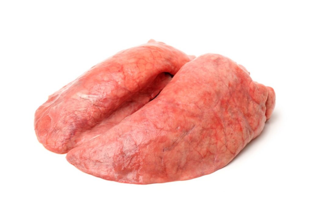 Pork Lungs, Raw
