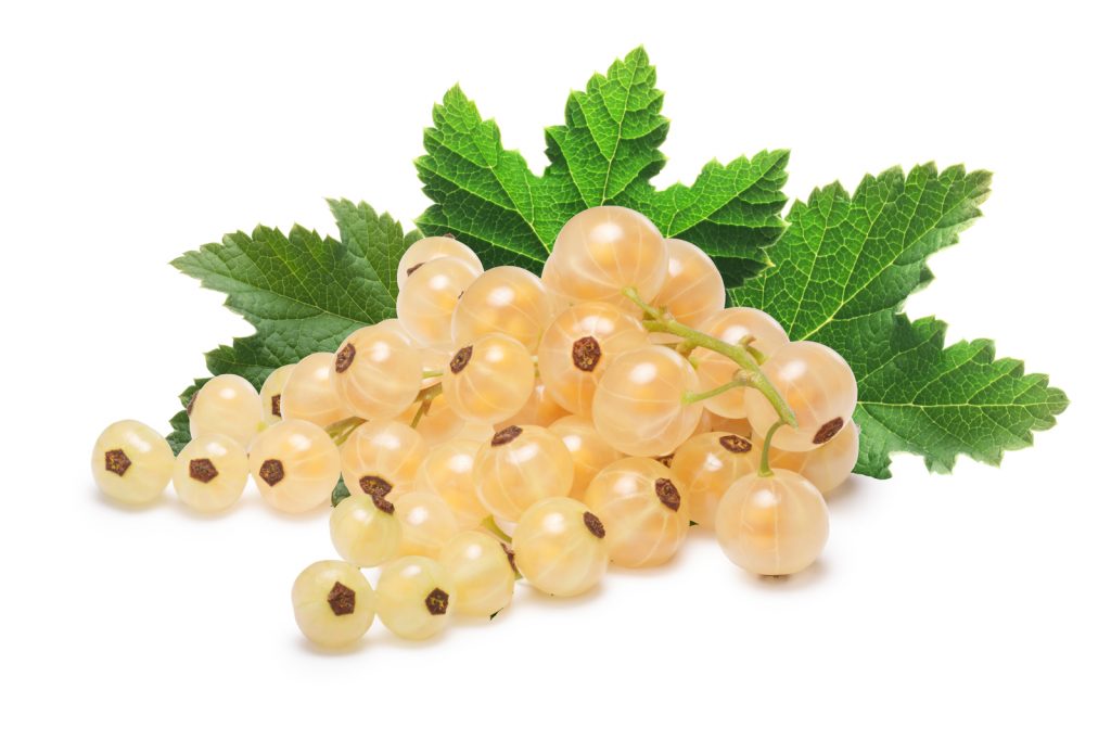 White Currants, Raw